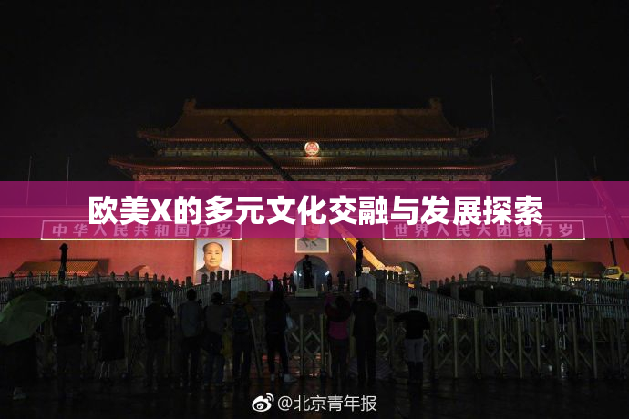 欧美X的多元文化交融与发展探索