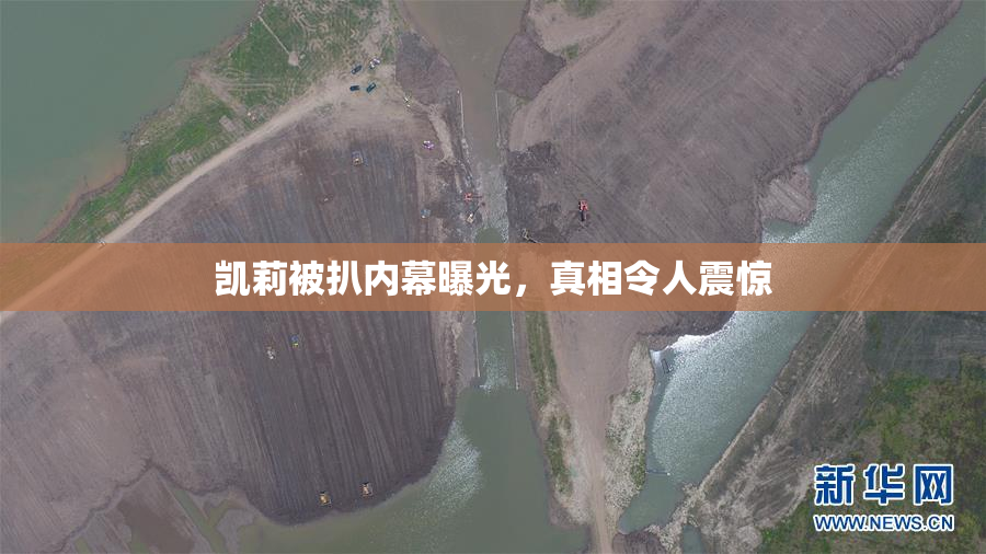 凯莉被扒内幕曝光，真相令人震惊