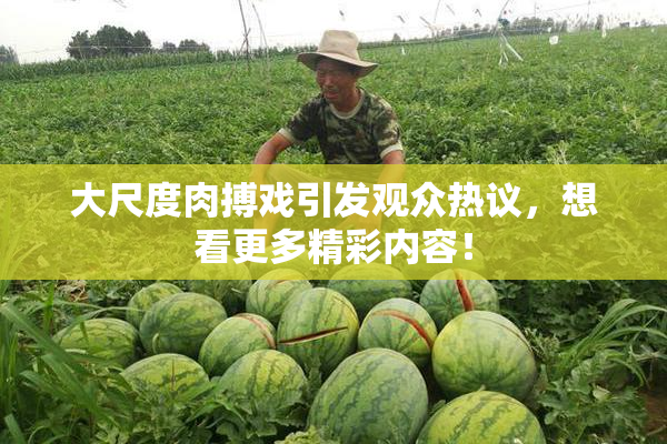 大尺度肉搏戏引发观众热议，想看更多精彩内容！