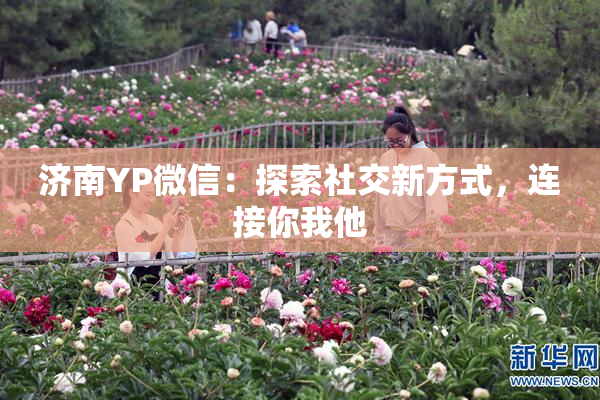 济南YP微信：探索社交新方式，连接你我他