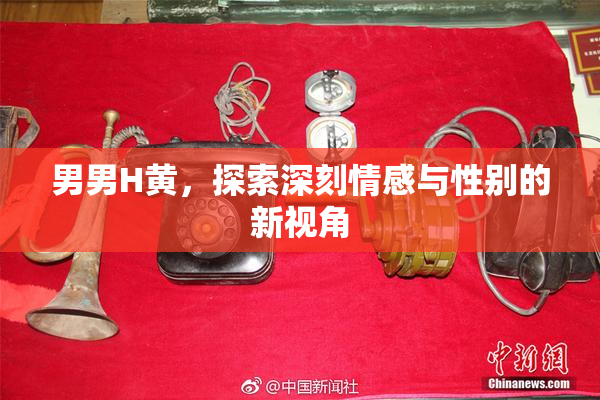 男男H黄，探索深刻情感与性别的新视角