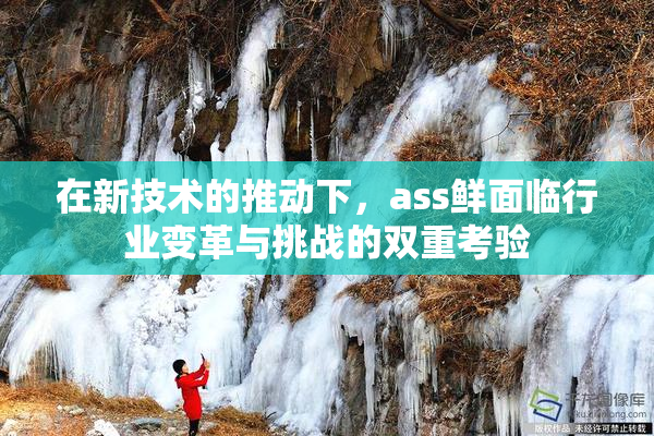 在新技术的推动下，ass鲜面临行业变革与挑战的双重考验