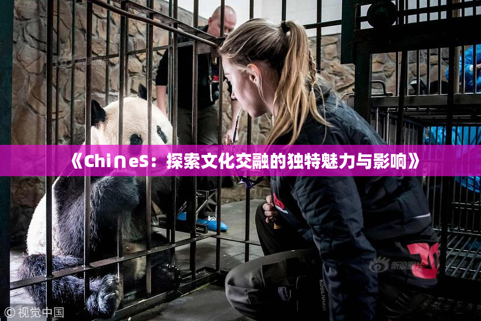 《Chi∩eS：探索文化交融的独特魅力与影响》