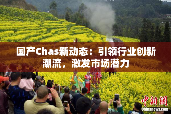 国产Chas新动态：引领行业创新潮流，激发市场潜力