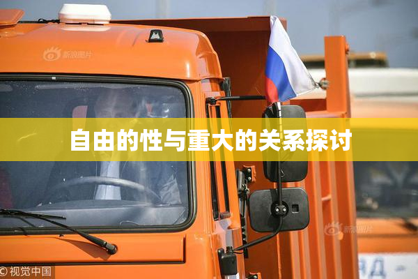 自由的性与重大的关系探讨