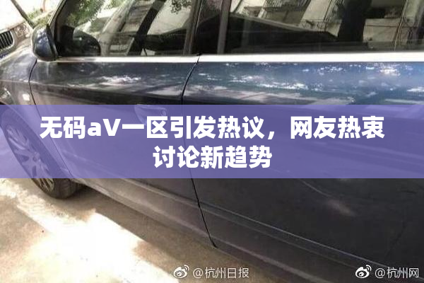 无码aV一区引发热议，网友热衷讨论新趋势
