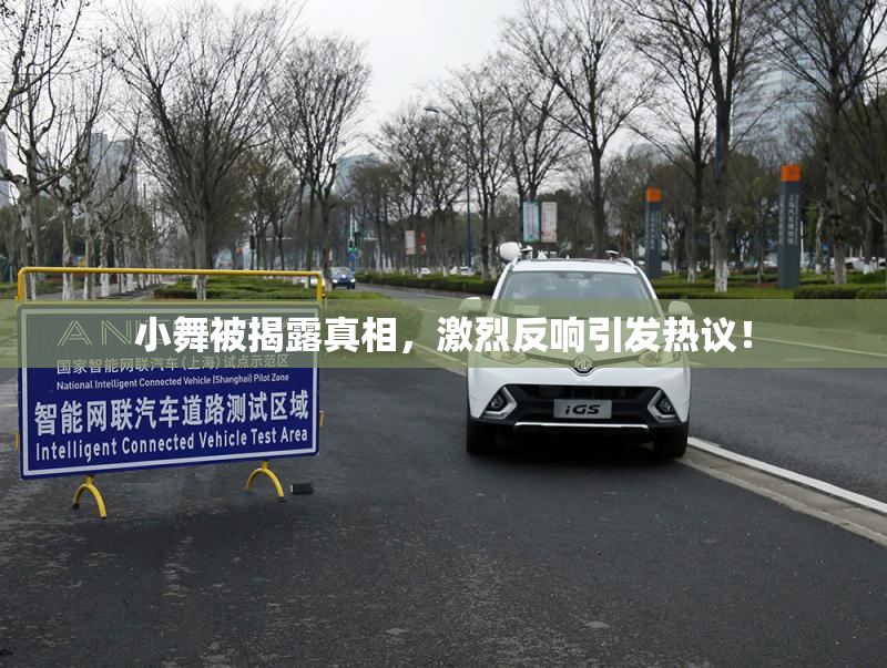 小舞被揭露真相，激烈反响引发热议！