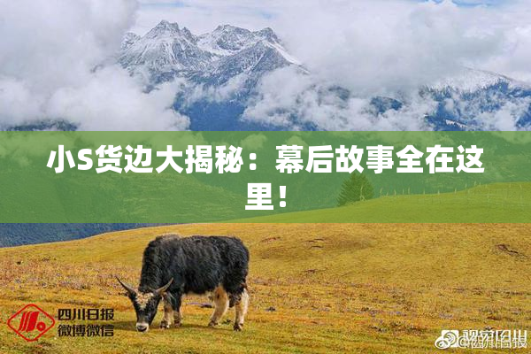 小S货边大揭秘：幕后故事全在这里！