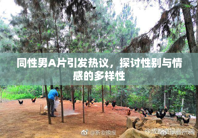 同性男A片引发热议，探讨性别与情感的多样性