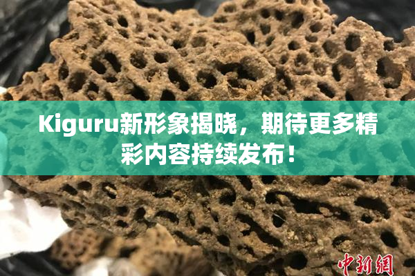 Kiguru新形象揭晓，期待更多精彩内容持续发布！