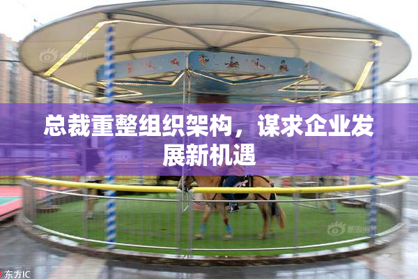 总裁重整组织架构，谋求企业发展新机遇