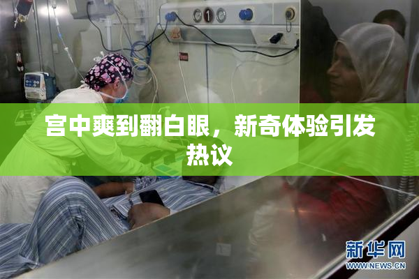 宫中爽到翻白眼，新奇体验引发热议