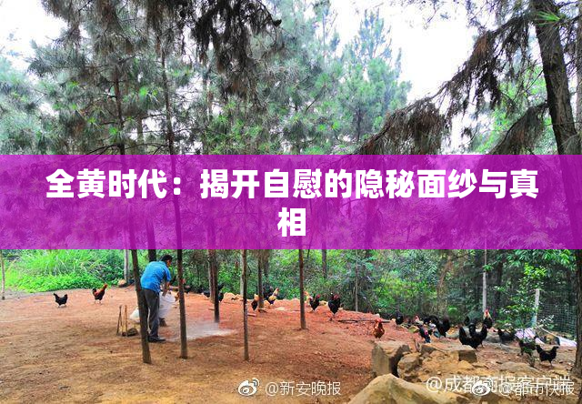 全黄时代：揭开自慰的隐秘面纱与真相