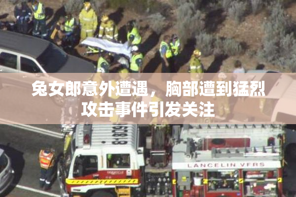 兔女郎意外遭遇，胸部遭到猛烈攻击事件引发关注
