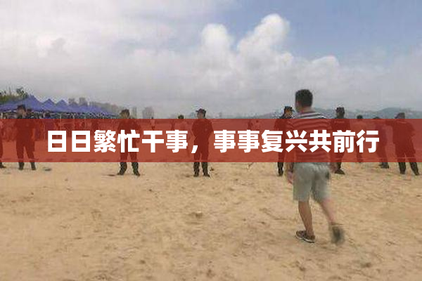 日日繁忙干事，事事复兴共前行