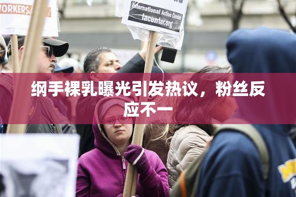 纲手裸乳曝光引发热议，粉丝反应不一