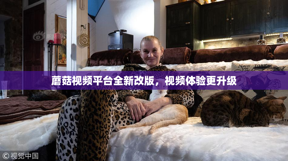 蘑菇视频平台全新改版，视频体验更升级