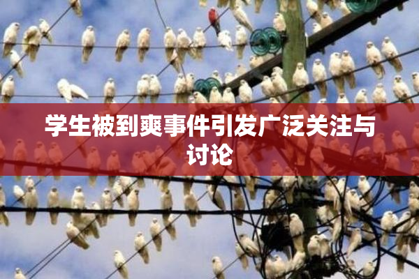 学生被到爽事件引发广泛关注与讨论