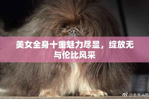 美女全身十重魅力尽显，绽放无与伦比风采