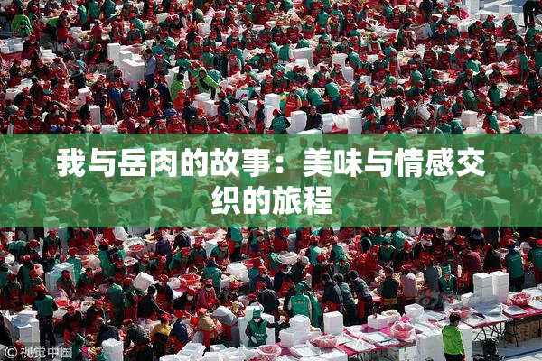 我与岳肉的故事：美味与情感交织的旅程
