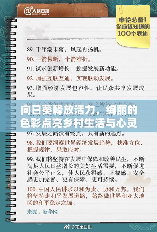 向日葵释放活力，绚丽的色彩点亮乡村生活与心灵