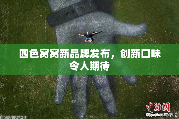 四色窝窝新品牌发布，创新口味令人期待