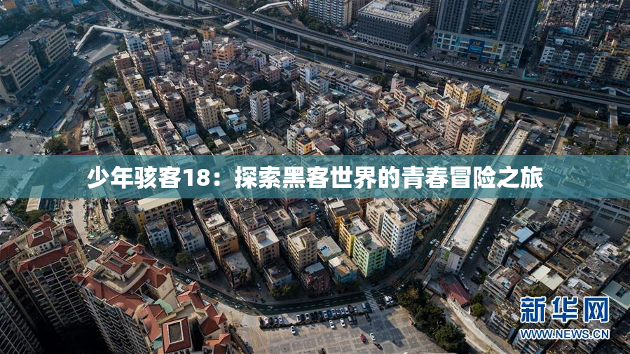 少年骇客18：探索黑客世界的青春冒险之旅