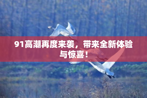 91高潮再度来袭，带来全新体验与惊喜！