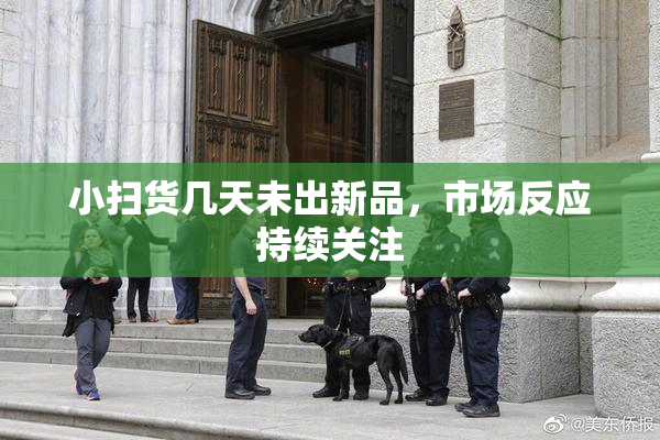 小扫货几天未出新品，市场反应持续关注