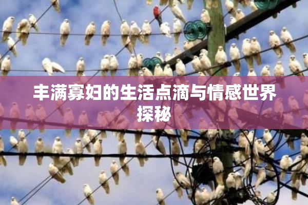 丰满寡妇的生活点滴与情感世界探秘