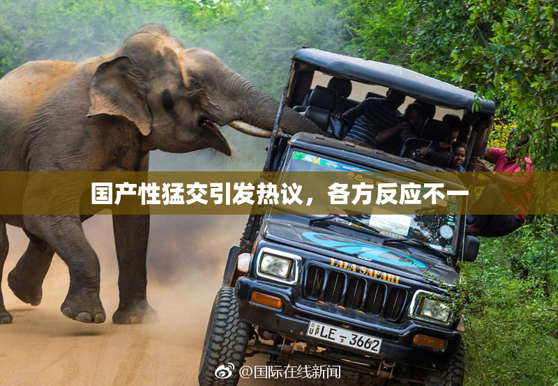 国产性猛交引发热议，各方反应不一