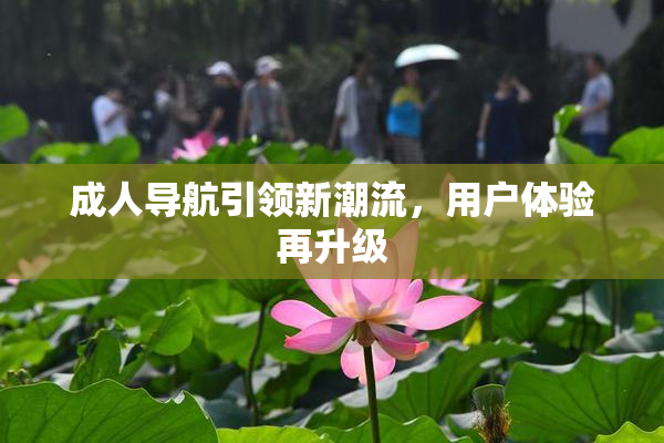 成人导航引领新潮流，用户体验再升级