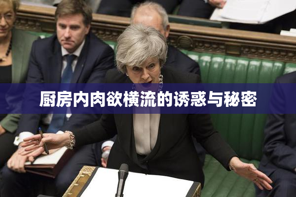 厨房内肉欲横流的诱惑与秘密