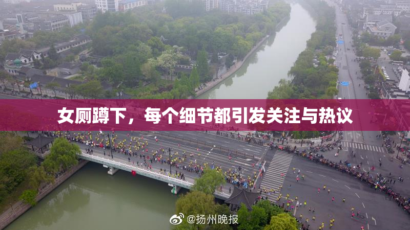 女厕蹲下，每个细节都引发关注与热议