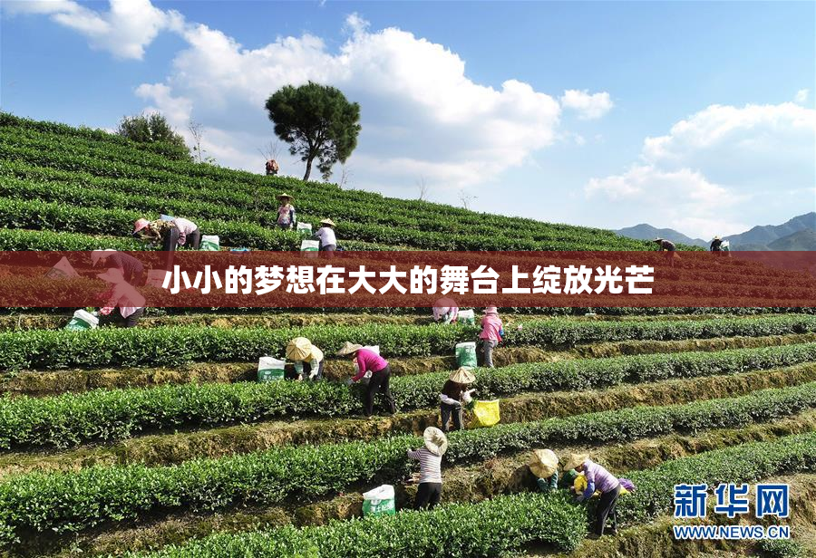 小小的梦想在大大的舞台上绽放光芒
