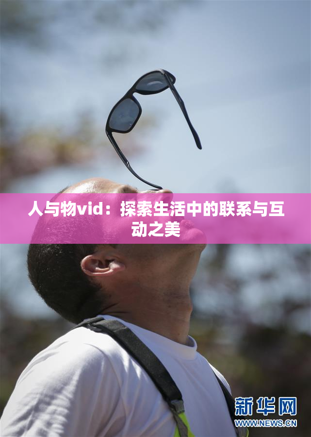 人与物vid：探索生活中的联系与互动之美