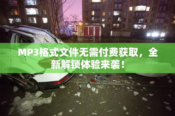 MP3格式文件无需付费获取，全新解锁体验来袭！