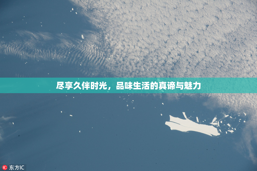 尽享久伴时光，品味生活的真谛与魅力