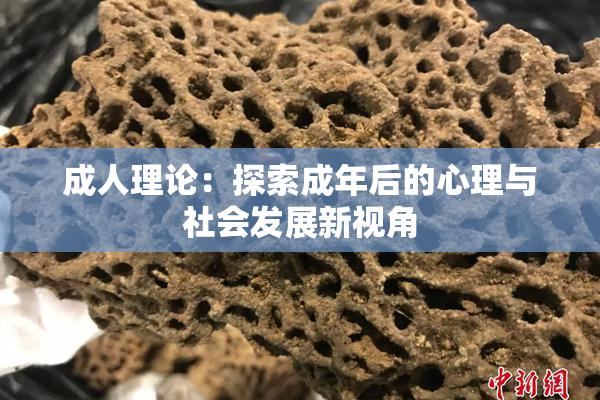 成人理论：探索成年后的心理与社会发展新视角