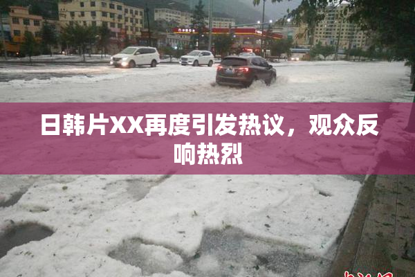 日韩片XX再度引发热议，观众反响热烈