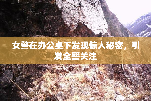 女警在办公桌下发现惊人秘密，引发全警关注