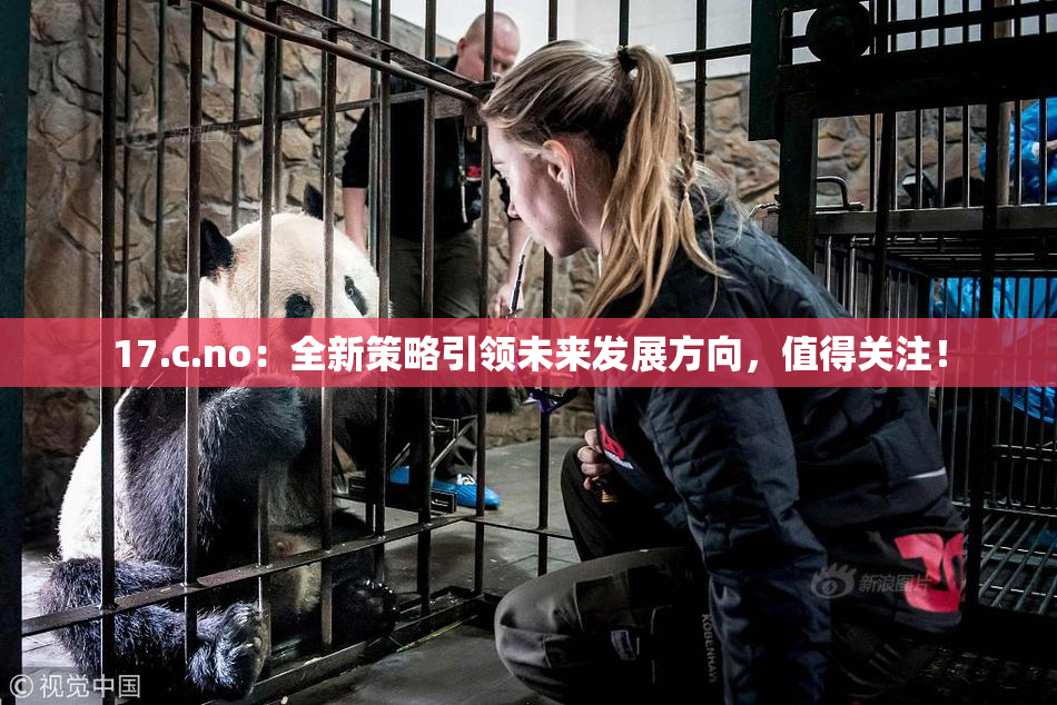 17.c.no：全新策略引领未来发展方向，值得关注！
