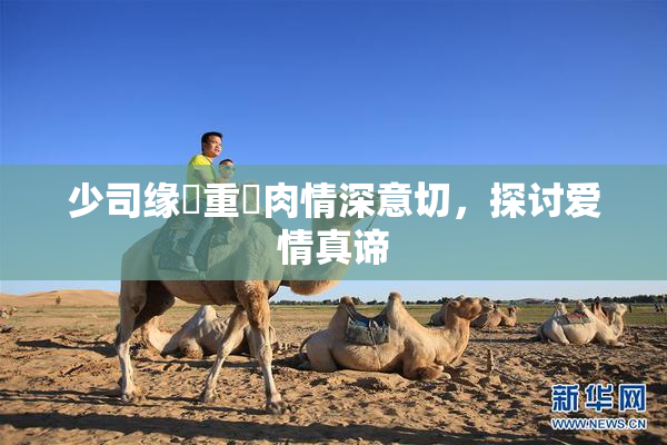 少司缘婬重泬肉情深意切，探讨爱情真谛
