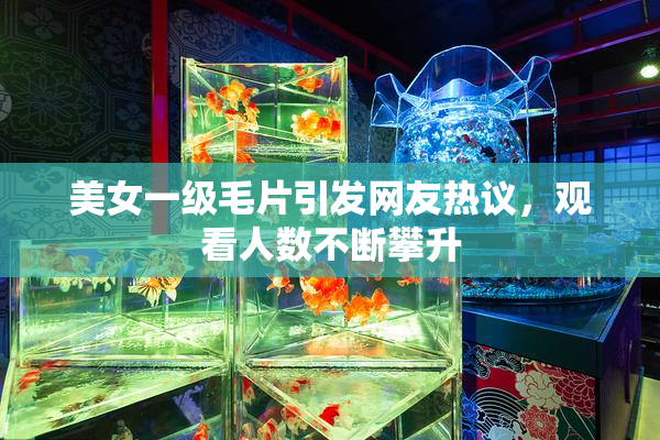 美女一级毛片引发网友热议，观看人数不断攀升