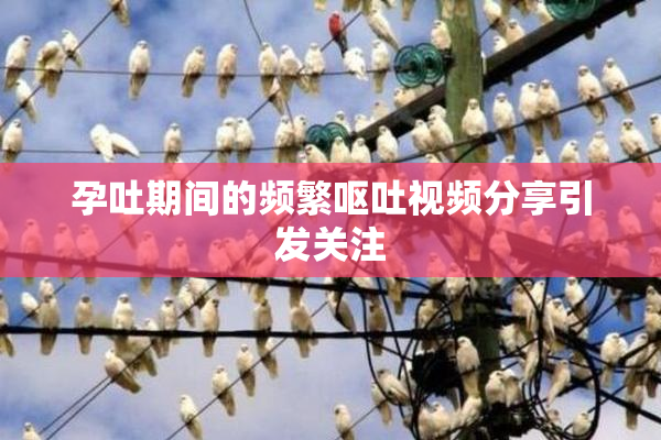 孕吐期间的频繁呕吐视频分享引发关注