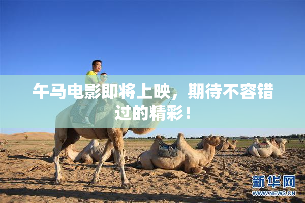 午马电影即将上映，期待不容错过的精彩！