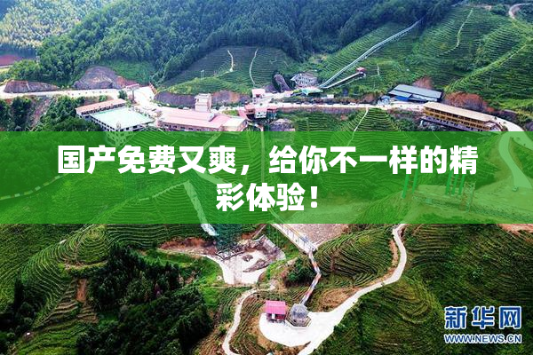 国产免费又爽，给你不一样的精彩体验！