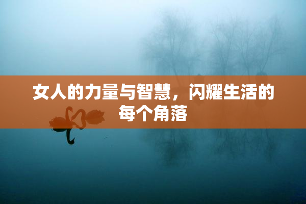 女人的力量与智慧，闪耀生活的每个角落