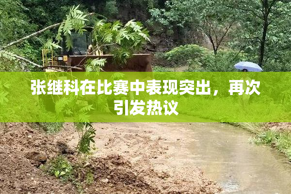 张继科在比赛中表现突出，再次引发热议
