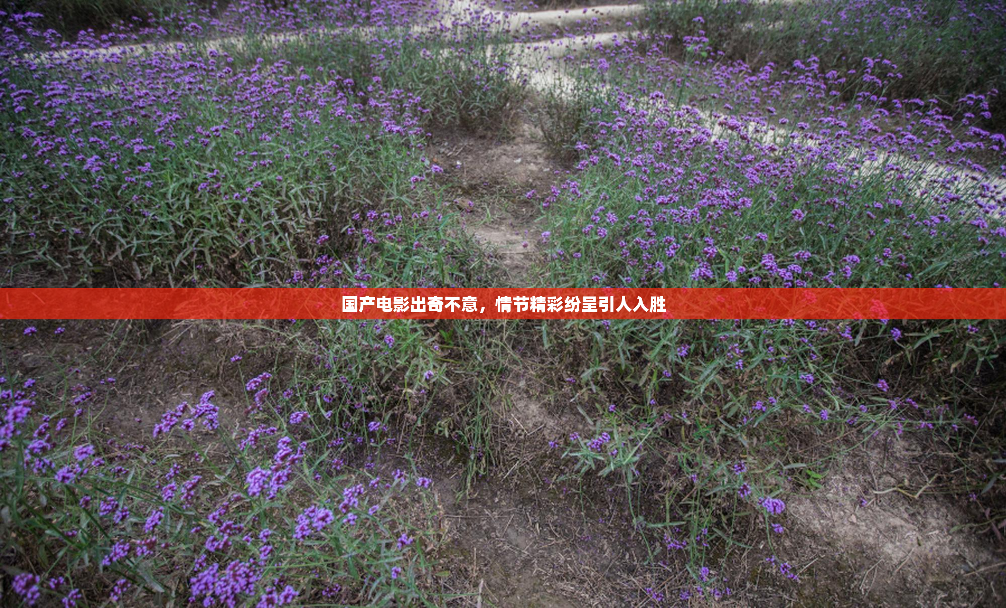 国产电影出奇不意，情节精彩纷呈引人入胜